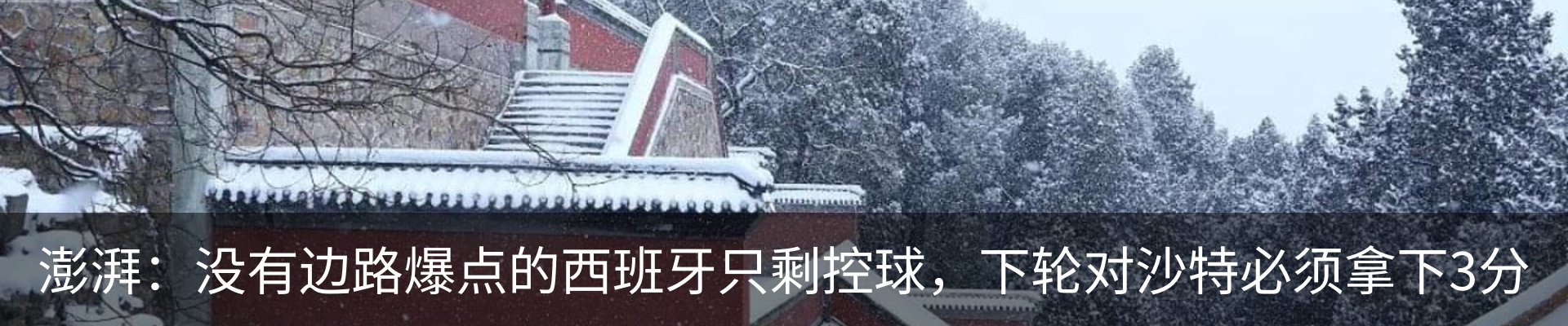 新闻动态