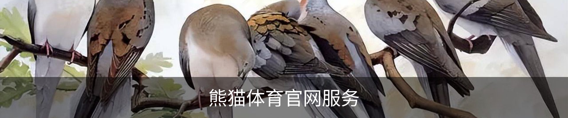 熊猫体育官网服务