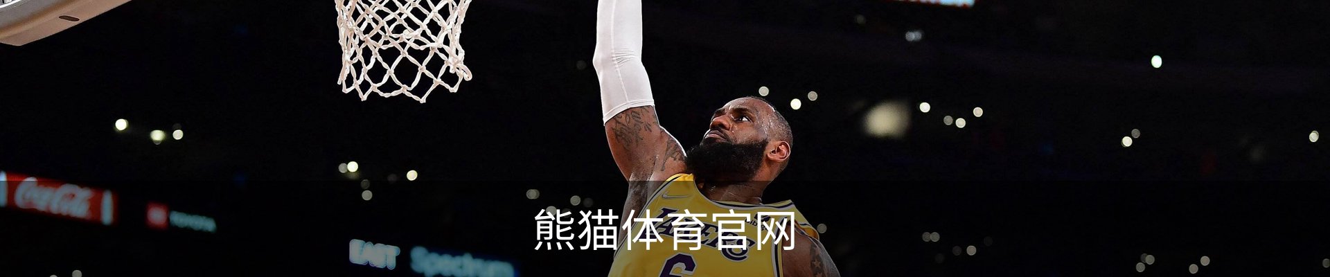熊猫体育官网
