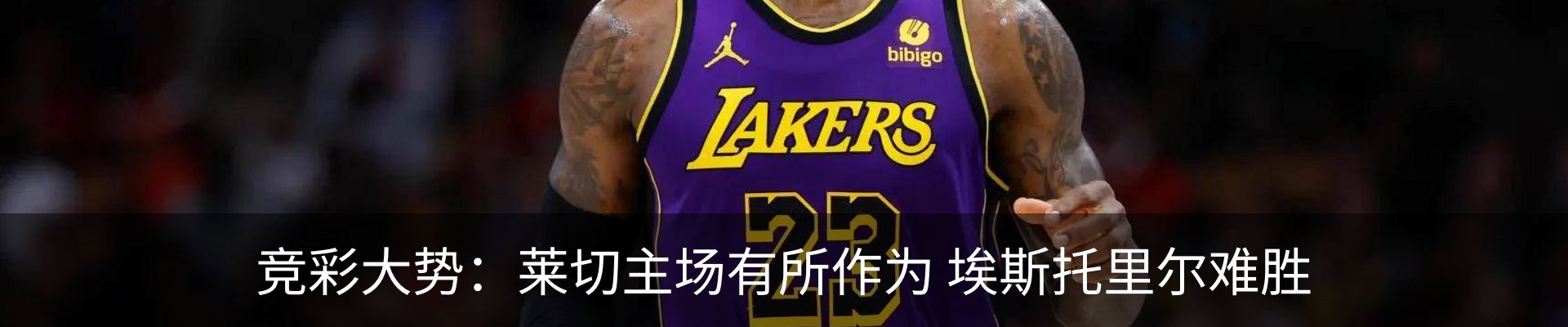 新闻动态
